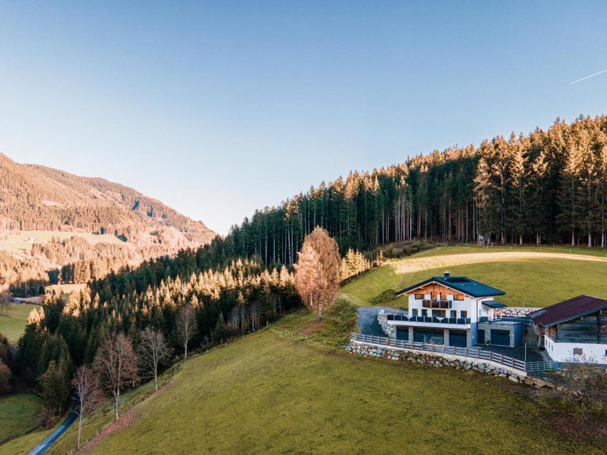 Chalet Hochthron Pfarrwerfen Dış mekan fotoğraf